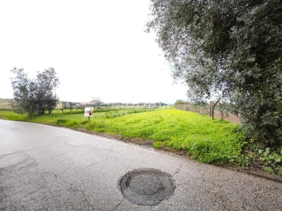 Terreno para Venda em Glória e Vera Cruz Foto 4