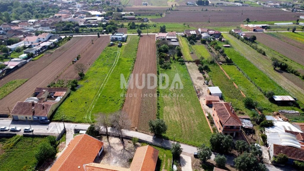 Terreno para Venda em Glória e Vera Cruz Foto 12
