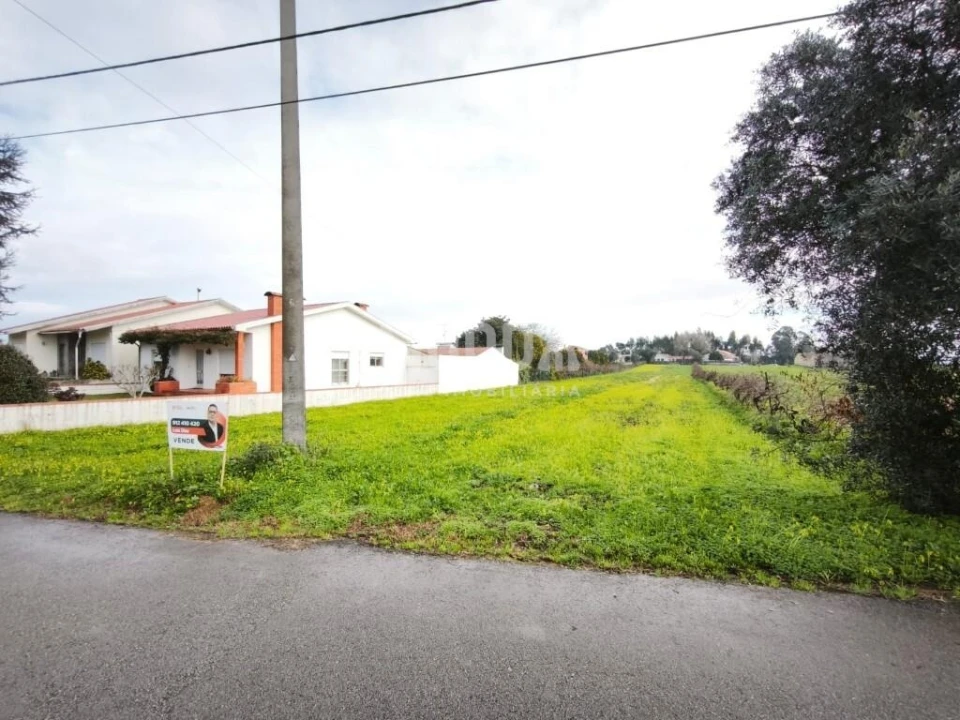 Terreno para Venda em Glória e Vera Cruz Foto 1