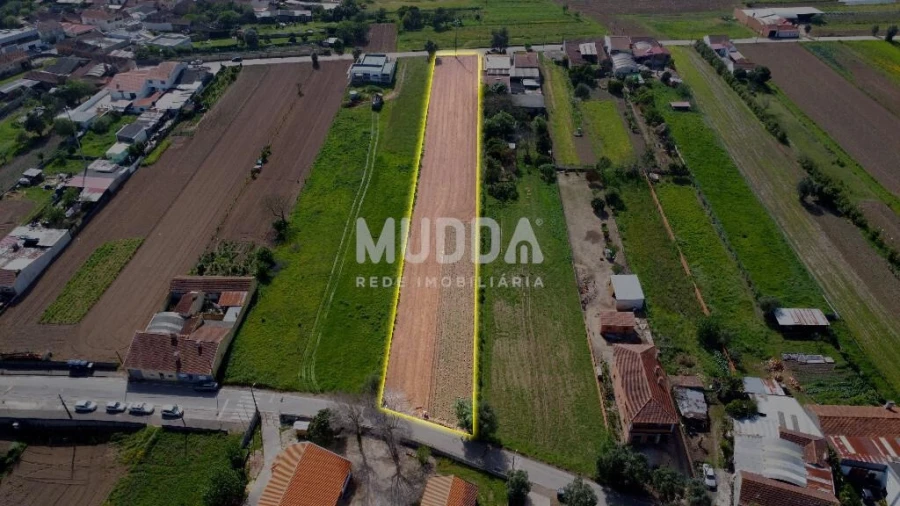 Terreno para Venda em Glória e Vera Cruz Foto 11