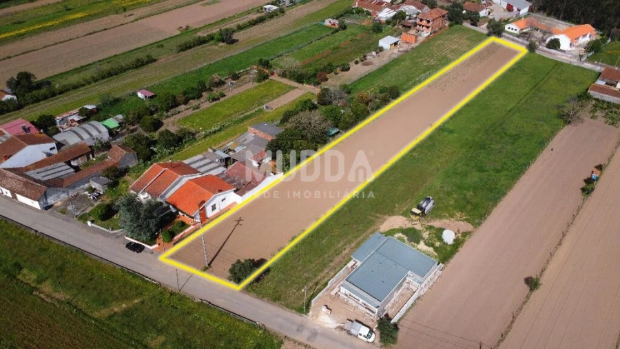 Terreno para Venda em Glória e Vera Cruz Foto 14