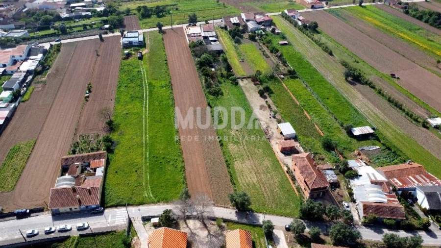 Terreno para Venda em Glória e Vera Cruz Foto 10