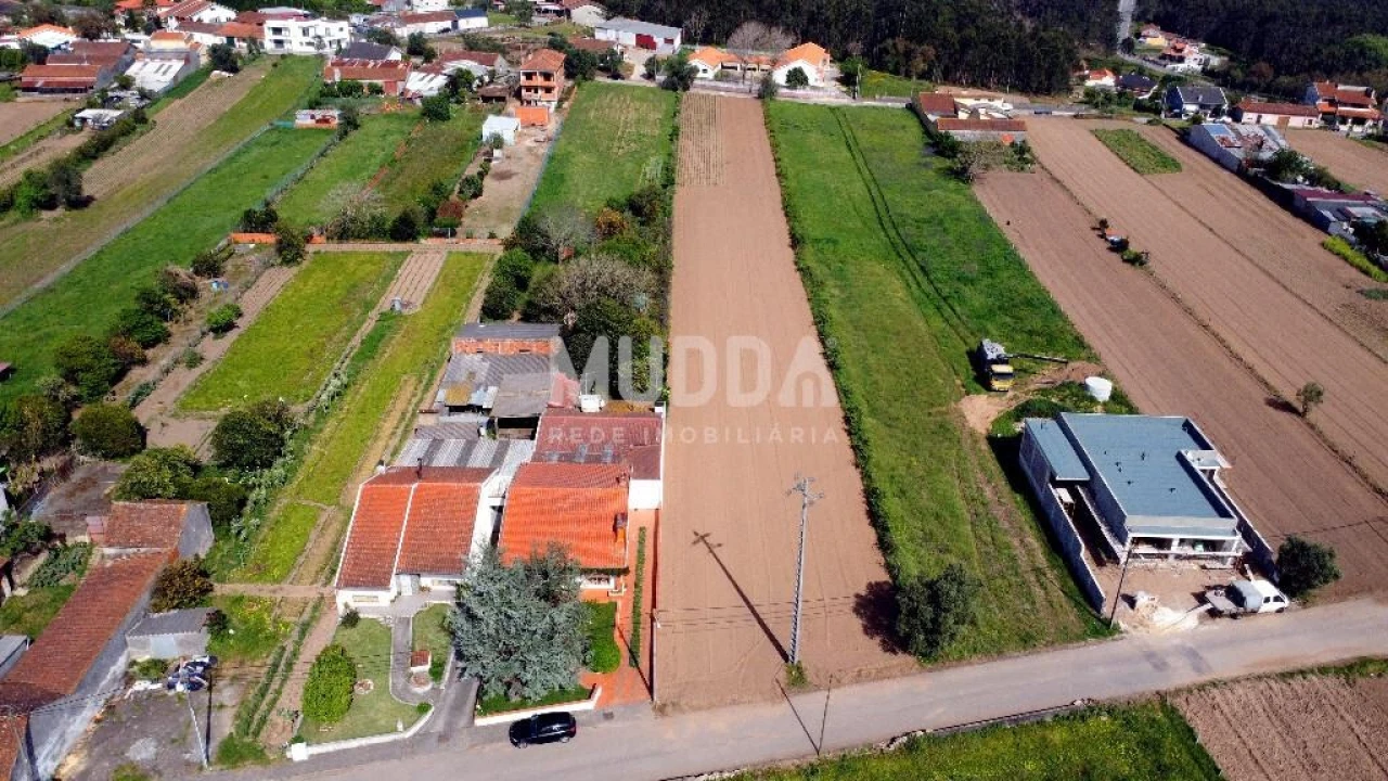 Terreno para Venda em Glória e Vera Cruz Foto 15