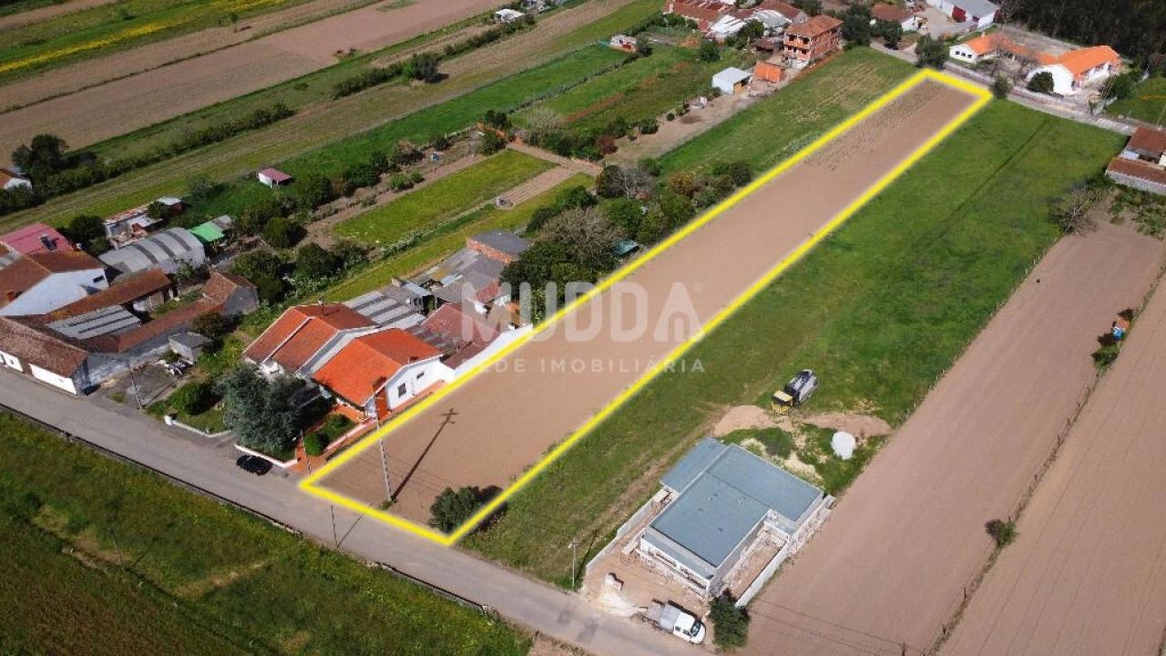 Terreno para Venda em Glória e Vera Cruz Foto 14