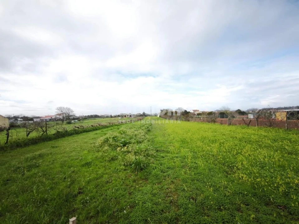 Terreno para Venda em Glória e Vera Cruz Foto 3