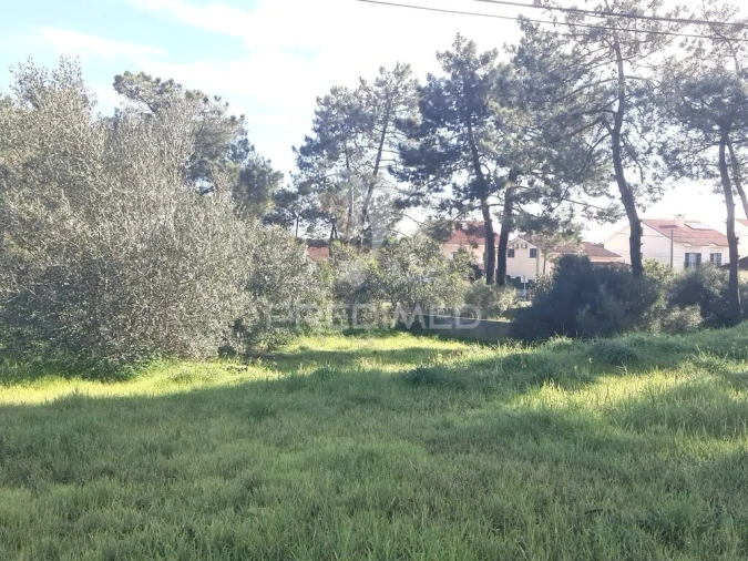 Terreno para Venda em Quinta do Conde Foto 5
