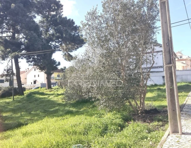 Terreno para Venda em Quinta do Conde Foto 2