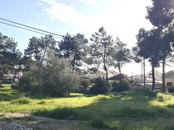 Terreno para Venda em Quinta do Conde Foto 3