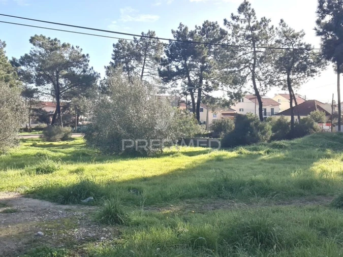 Terreno para Venda em Quinta do Conde Foto 6