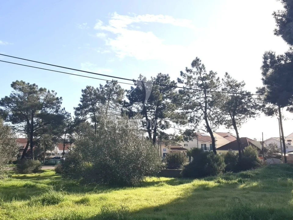 Terreno para Venda em Quinta do Conde Foto 10