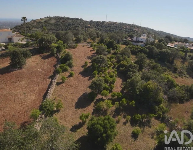 Terreno para Venda em Conceição e Estoi Foto 4