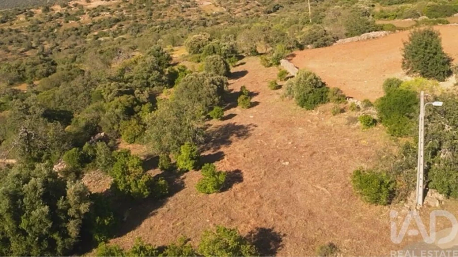Terreno para Venda em Conceição e Estoi Foto 3