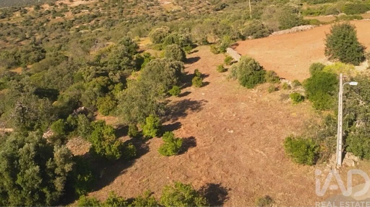 Terreno para Venda em Conceição e Estoi Foto 3