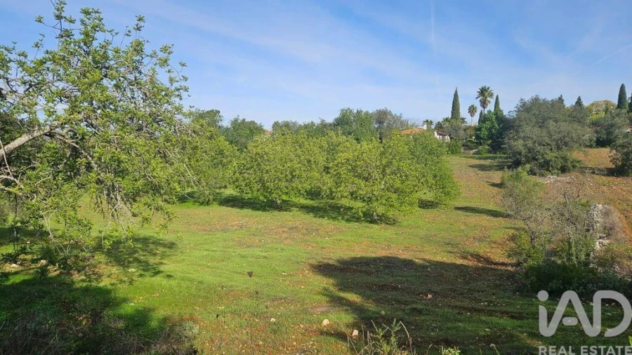 Terreno para Venda em Faro (Sé e São Pedro) Foto 4