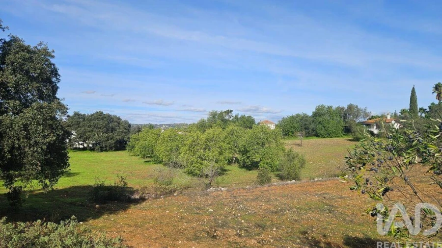 Terreno para Venda em Faro (Sé e São Pedro) Foto 6