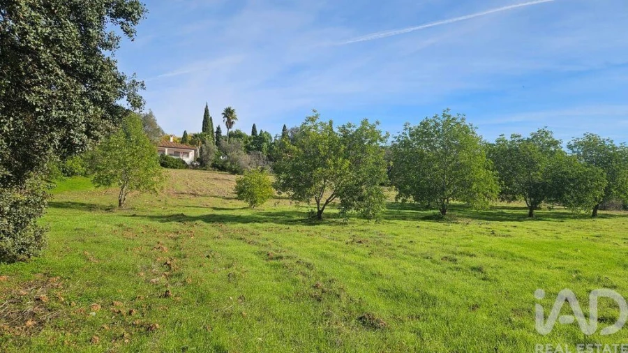 Terreno para Venda em Faro (Sé e São Pedro) Foto 2