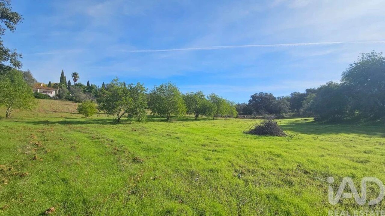 Terreno para Venda em Faro (Sé e São Pedro) Foto 3