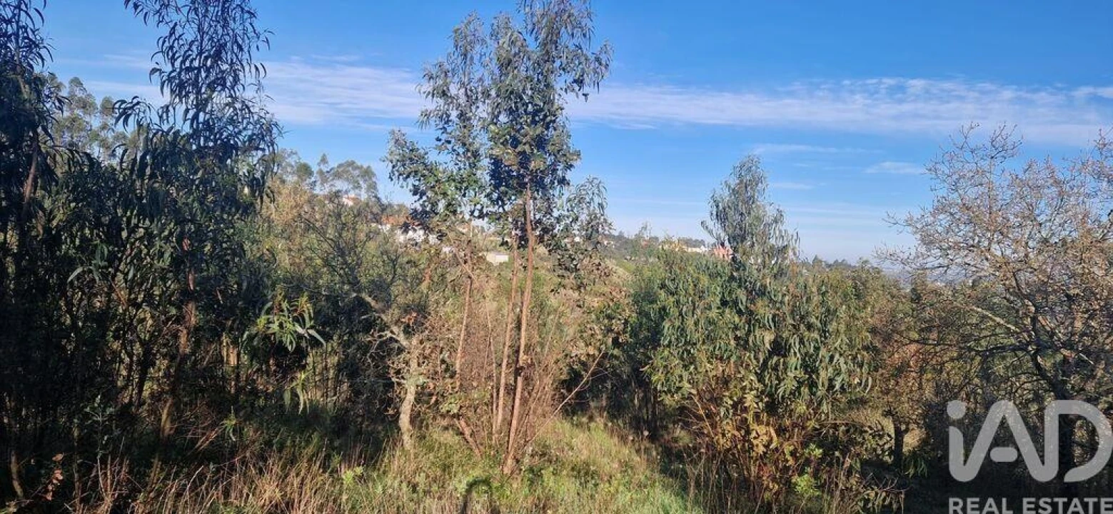 Terreno para Venda em Mafra Foto 36