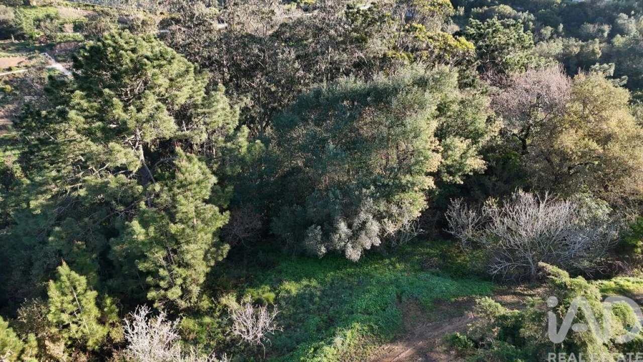 Terreno para Venda em Mafra Foto 26
