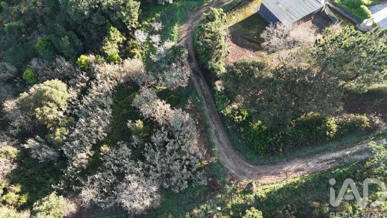 Terreno para Venda em Mafra Foto 27