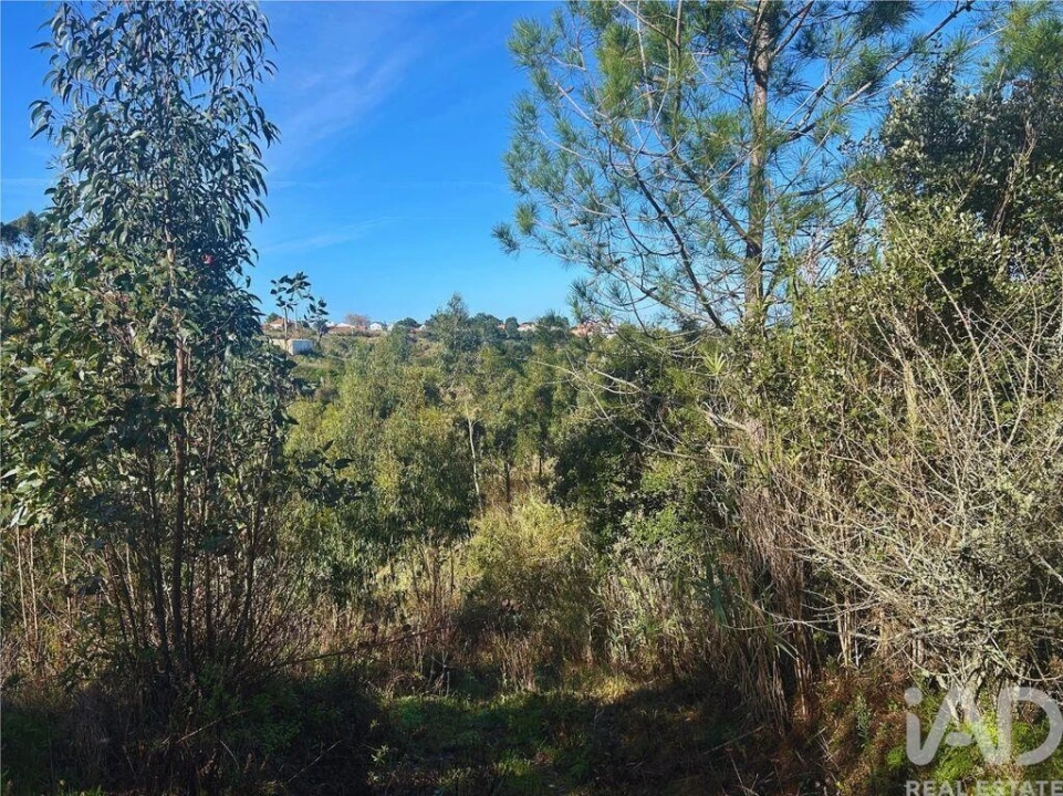 Terreno para Venda em Mafra Foto 3