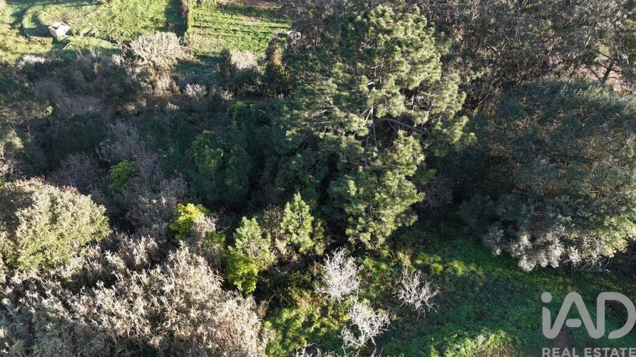Terreno para Venda em Mafra Foto 20