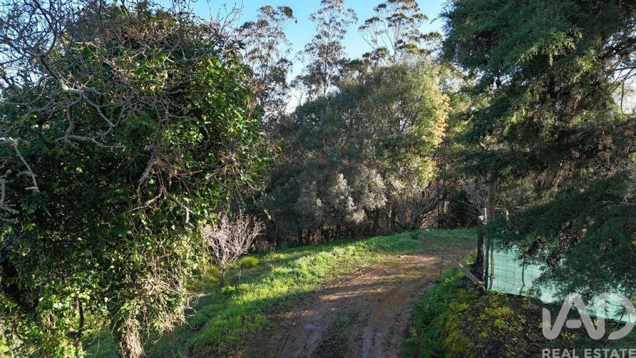 Terreno para Venda em Mafra Foto 34