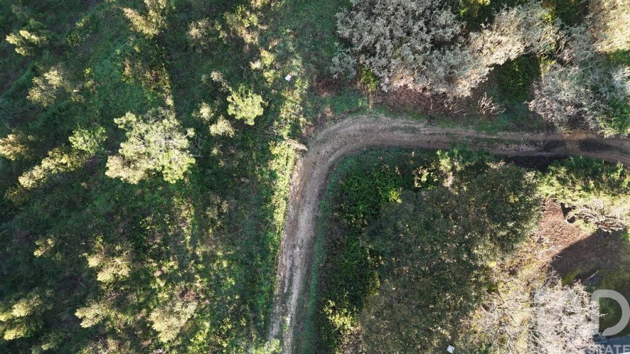 Terreno para Venda em Mafra Foto 25