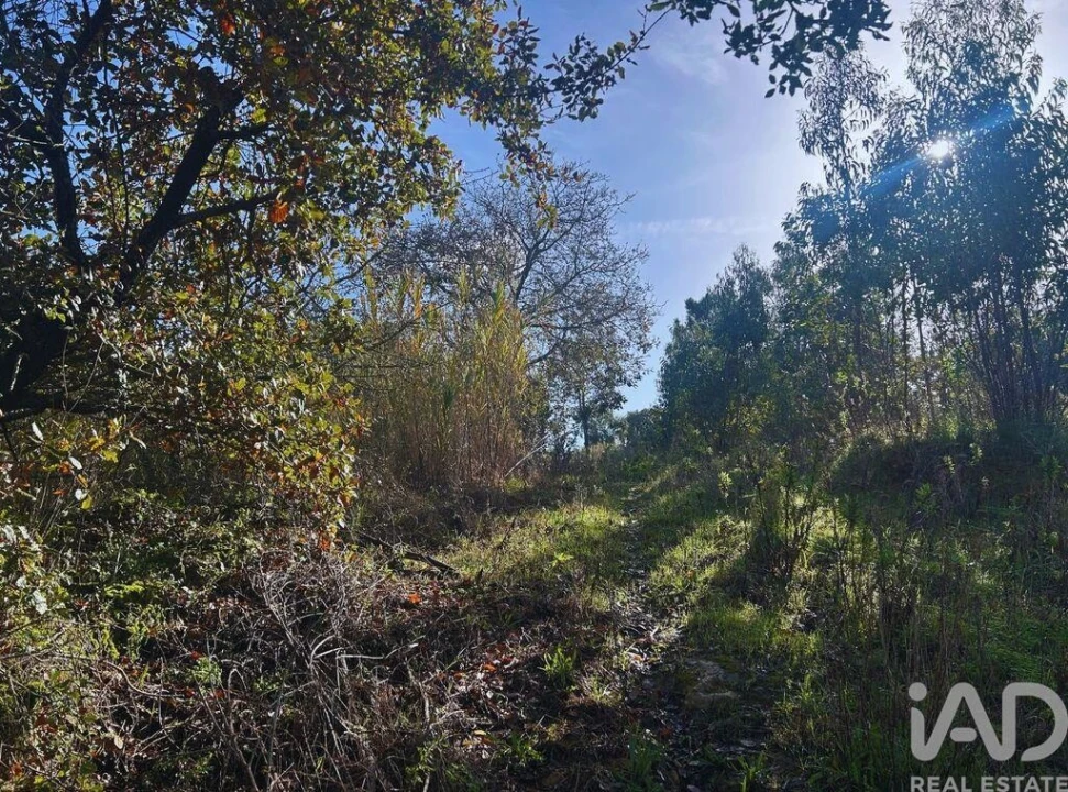 Terreno para Venda em Mafra Foto 4