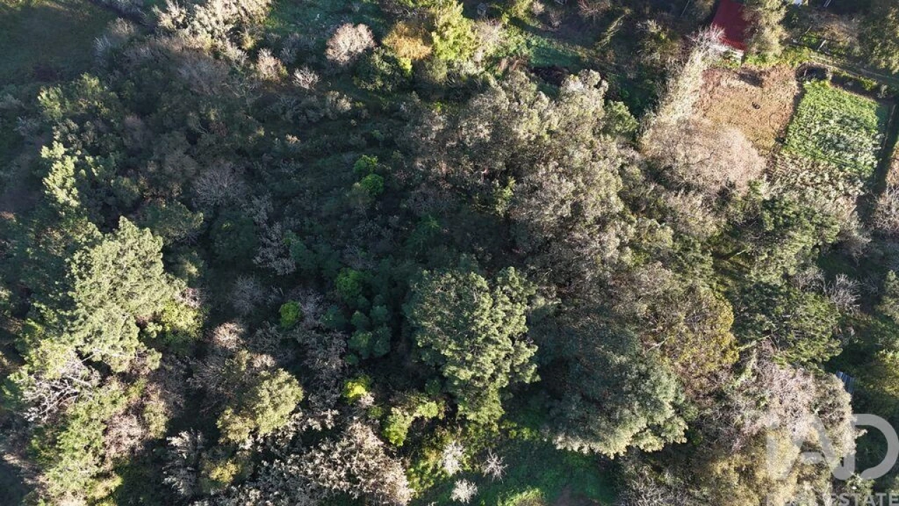 Terreno para Venda em Mafra Foto 5