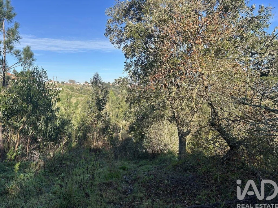 Terreno para Venda em Mafra Foto 8