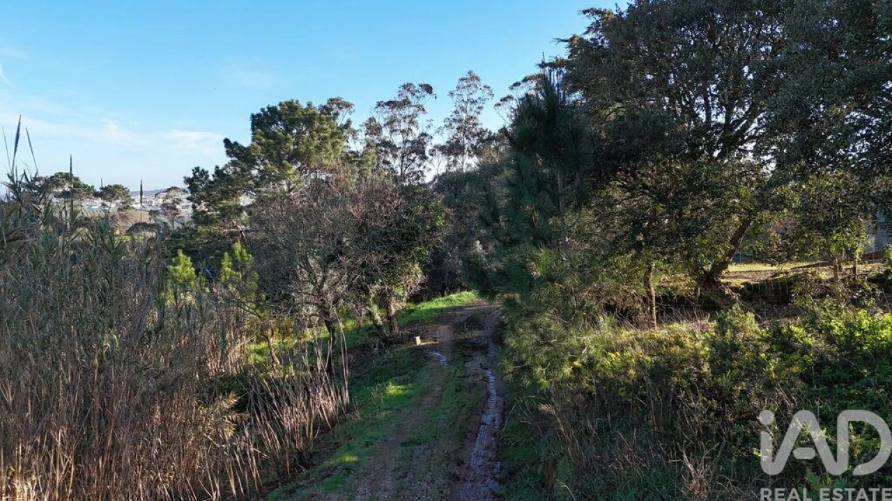 Terreno para Venda em Mafra Foto 30
