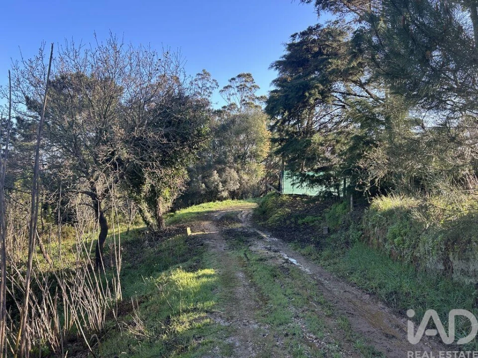 Terreno para Venda em Mafra Foto 14
