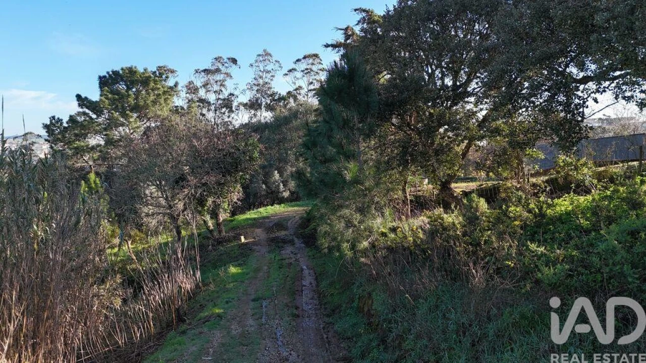 Terreno para Venda em Mafra Foto 11