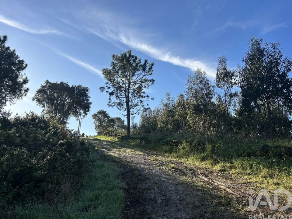 Terreno para Venda em Mafra Foto 15