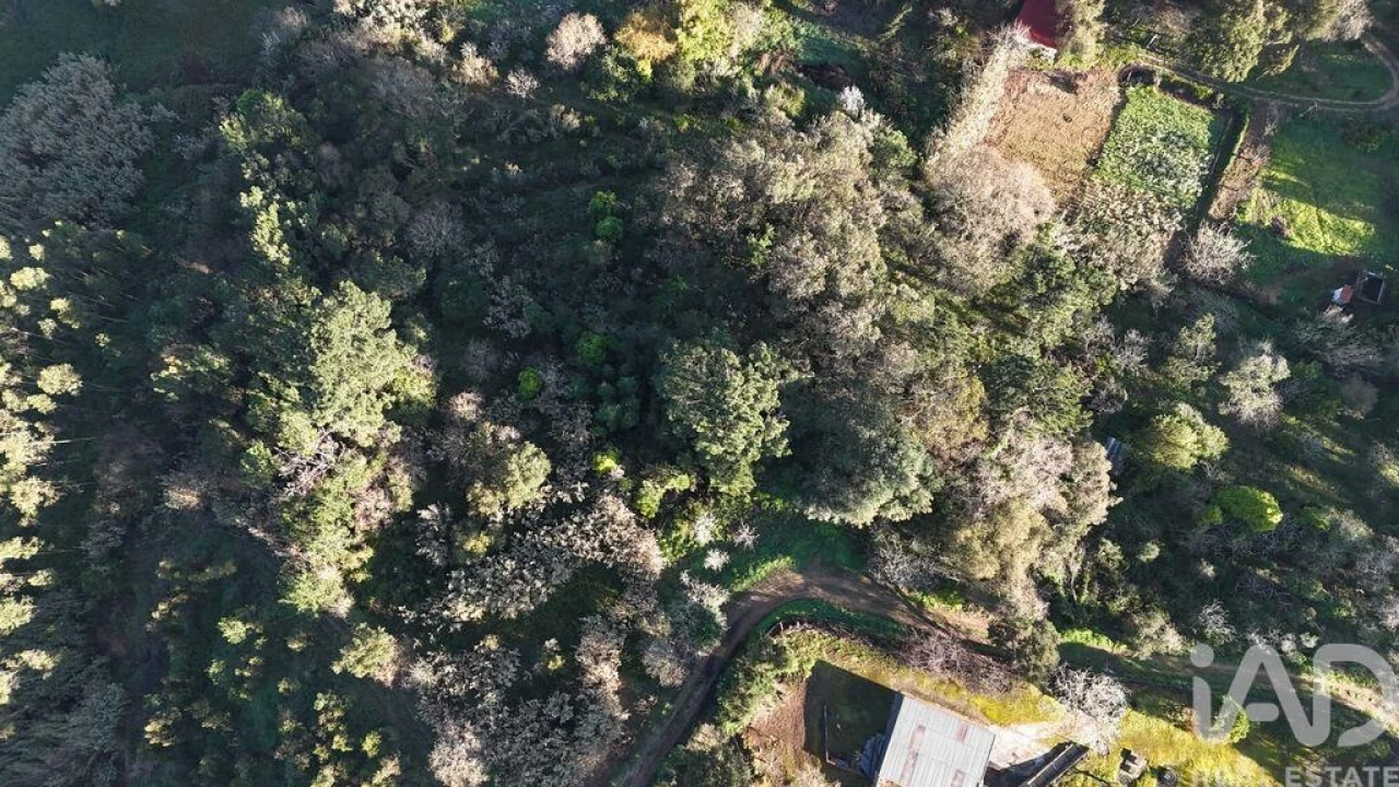 Terreno para Venda em Mafra Foto 21