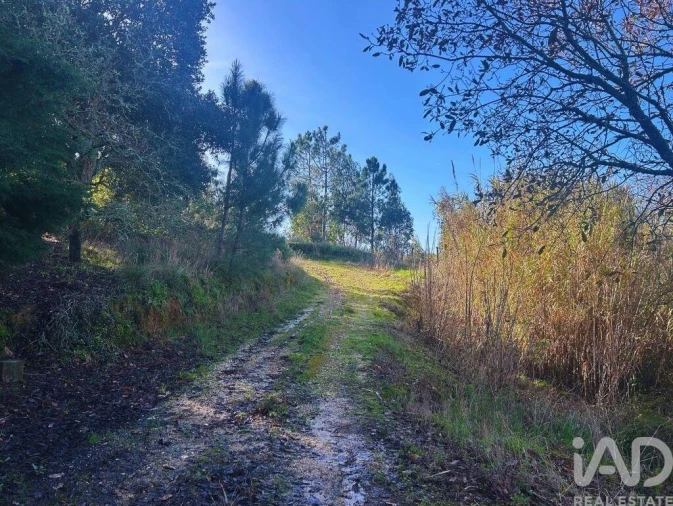 Terreno para Venda em Mafra Foto 5