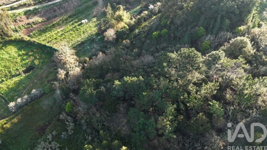 Terreno para Venda em Mafra Foto 24