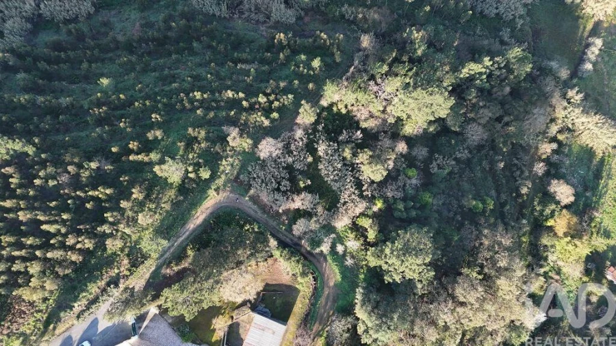 Terreno para Venda em Mafra Foto 4