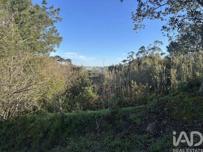 Terreno para Venda em Mafra Foto 32