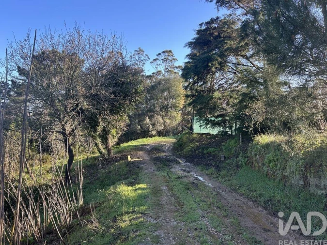 Terreno para Venda em Mafra Foto 14