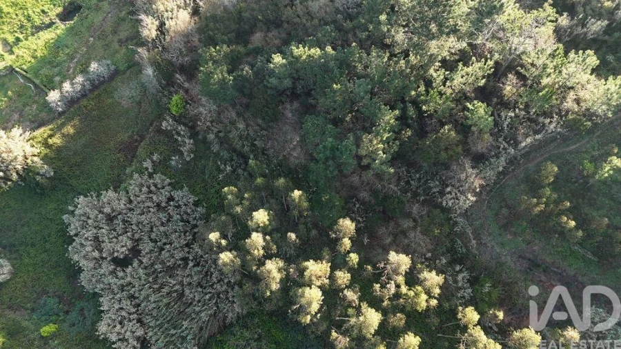 Terreno para Venda em Mafra Foto 23