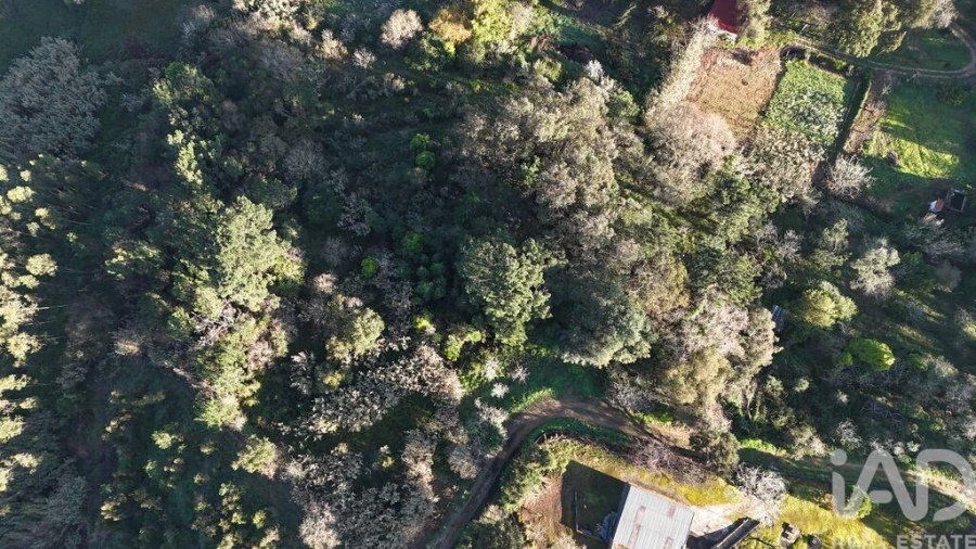 Terreno para Venda em Mafra Foto 21