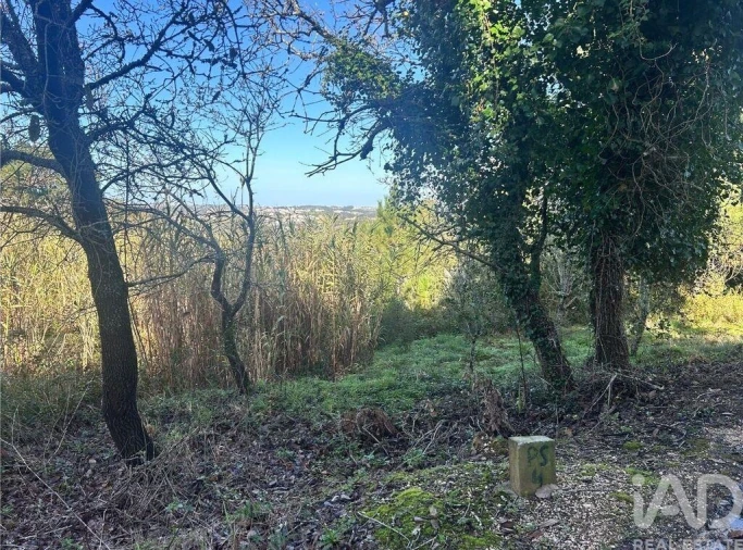 Terreno para Venda em Mafra Foto 6