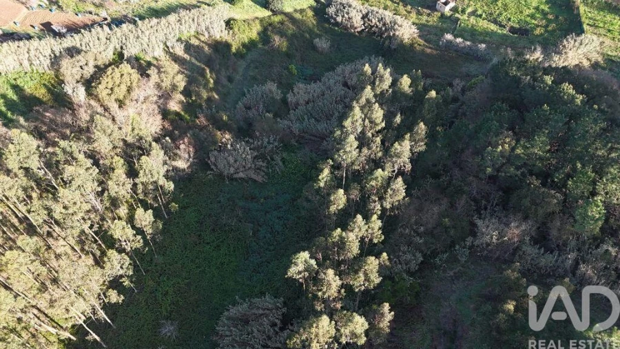 Terreno para Venda em Mafra Foto 22