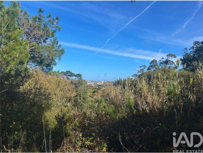 Terreno para Venda em Mafra Foto 2