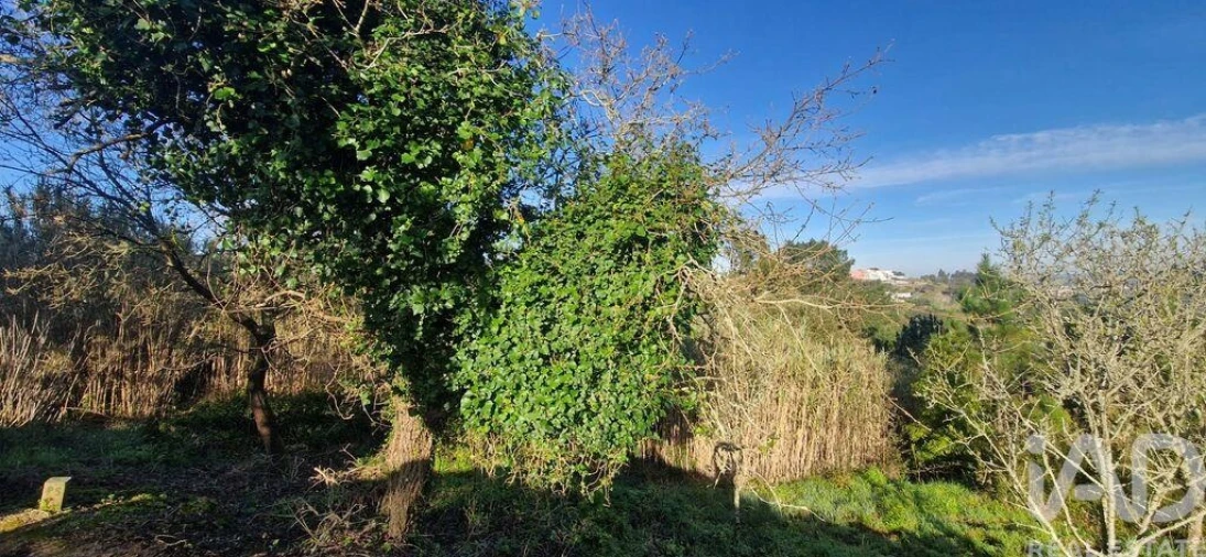 Terreno para Venda em Mafra Foto 9