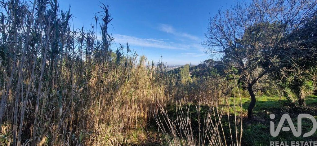 Terreno para Venda em Mafra Foto 10
