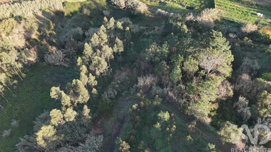 Terreno para Venda em Mafra Foto 35