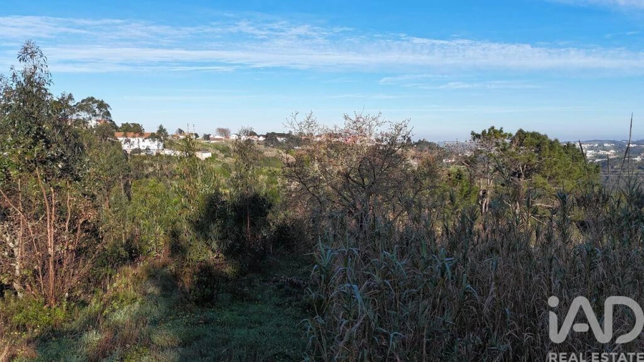 Terreno para Venda em Mafra Foto 31